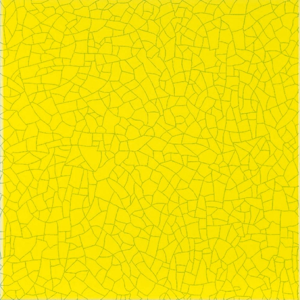 Catalonia Yellow 20x20 плитка настенная