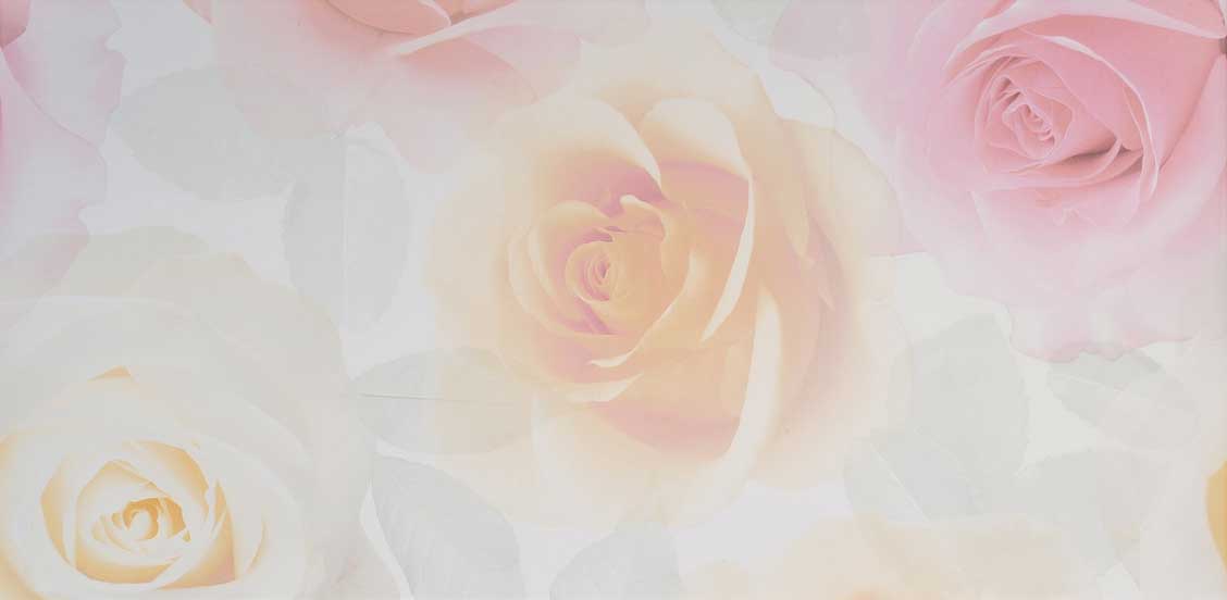 Pastel Rose 2 Piece Décor 1  24,8x49,8 плитка декор