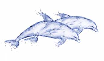 DeepBlue Дельфин 20x44 декор